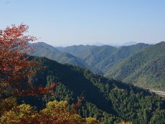 紅葉を求めて高尾登山