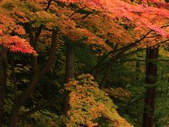 長野　紅葉めぐり～常楽寺、安楽寺、鹿教湯温泉/文殊堂