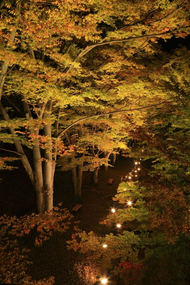 今週は東信州の紅葉めぐりへ。<br /><br /><br /><br />1日目(小諸市・佐久市・東御市・上田市)<br /><br />小諸城址/懐古園<br />貞祥寺(ていしょうじ)<br />道の駅/ほっとぱ~く浅科(あさしな)<br />龍岡(たつおか)城五稜郭<br />新海(しんがい)三社神社<br /><br />マンズワイン小諸ワイナリー<br />海野(うんの)宿<br />国分寺史跡公園<br />上田城跡公園/けやき並木<br />しなの木温泉/ひな詩の湯<br />道の駅/上田道と川の駅