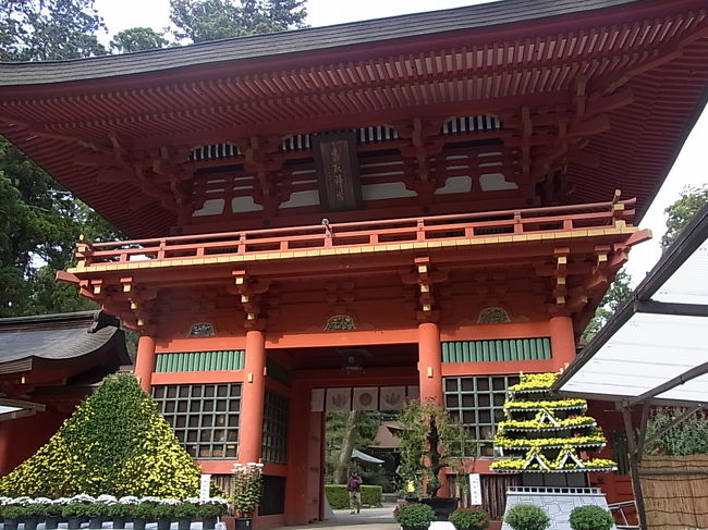 戸隠神社で引いたおみくじ↓は、<br />http://4travel.jp/traveler/maikyukyu/pict/30615779/<br />「第五十七番 経津魂兆(ふつのみたまのうらかた)」で、その中にはこの一文があった。<br /><br />「此は香取の神宮を信心すべし」<br /><br />これは千葉の香取神宮の事か?と思い香取神宮を検索してみると、御祭神は、経津主大神(ふつぬしのおおかみ)でした。気になってた神社だし、これは行くっきゃない!<br />新年のオデカケ初詣の場所にしようかとも思いましたが、ゆっくり散策したかったので、混雑を避け、寒くなる前の今だ!