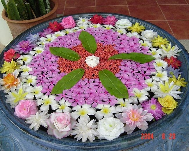 タイ10年 花 その他の都市 タイ の旅行記 ブログ By 一休さん フォートラベル タイ10年 花 その他の都市 タイ の旅行記 ブログ By 一休さん フォートラベル