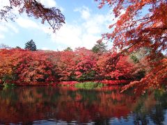 秋～紅葉～温泉～美味しい物☆ 天空カフェアウラ☆星の温泉☆雲場池