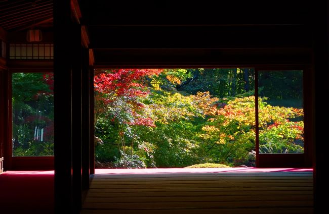 ひと足早く　JR「そうだ京都、行こう。」南禅寺・天授庵へ