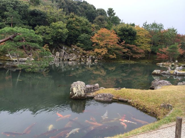 混雑を、さけ少しはやめに嵐山にいってきました