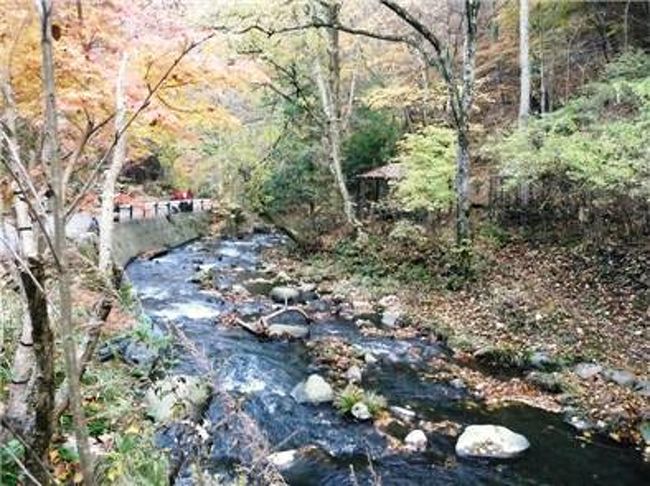 紅葉の明神館、８度目