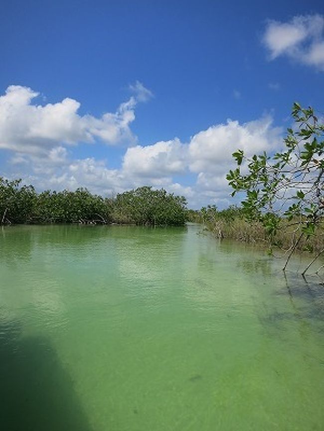 マヤ語にすると<br />「シアン・カーン」<br /><br />そう、ユネスコ世界自然遺産にも登録されているこの場所で<br />澄み切ったマングローブの中で川下りの体験ができるんです！<br /><br />大自然を体いっぱいに感じましょう！