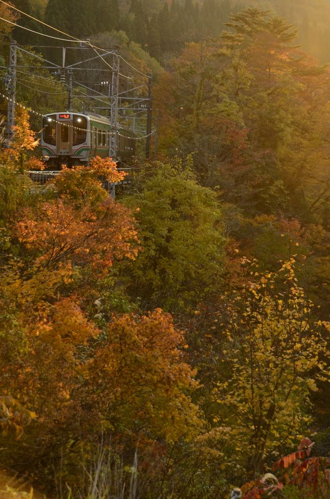 紅葉が見頃である面白山高原・紅葉川渓谷に、紅葉色に染まった風景探しの旅に訪れてみました。