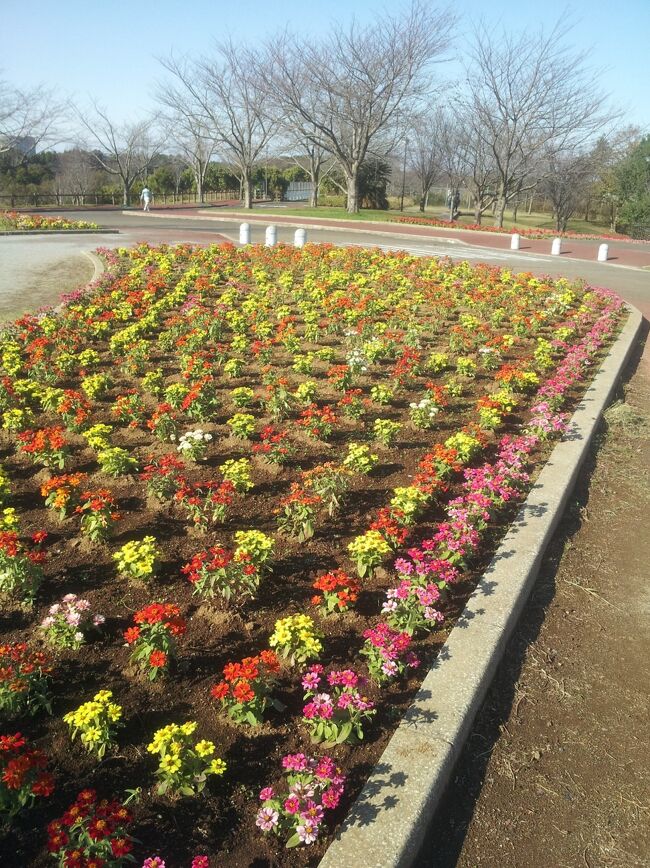 成田に一泊後、公園温泉等に寄ります。