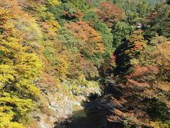 山おばさん　奥多摩から奥多摩湖へ～むかしみち～の紅葉狩り！