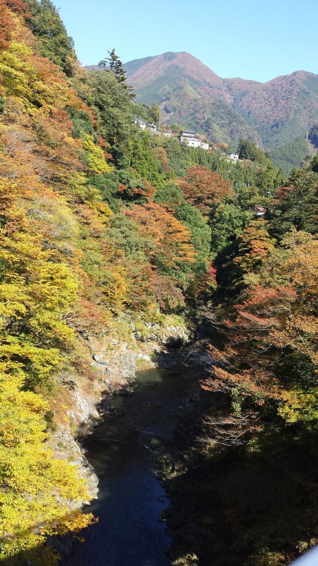 いつも見ている天気予報の「紅葉」の欄に<br /><br />東京の紅葉の一押しが奥多摩でした！<br /><br />なら、行かねば！　<br /><br />渓谷めぐりにしようかと思ったのですが<br /><br />前日は一日雨だったので川沿いがドロドロだったら嫌だったので<br /><br />むかしみちにしてみました！<br /><br />3時間の工程　比較的なだらかで歩きやすい（＾＾）