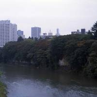 台風に追われて東北へ（仙台・八戸）