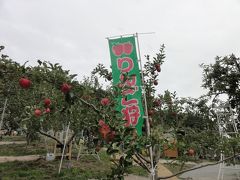 リンゴ狩り　小諸　長野