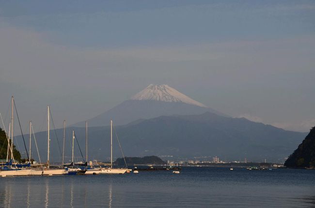 自宅を出たときに富士山がきれいに見えていたので、伊豆から海越しの富士山を撮ろうと出かけました。<br /><br />★沼津市役所のHPです。<br />http://www.city.numazu.shizuoka.jp/index.htm