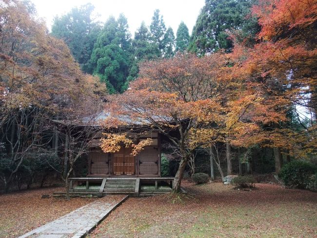 京都９日目は、比叡山に参拝です。標高848mの比叡山全域が延暦寺の境内であり日本仏教の聖地です。