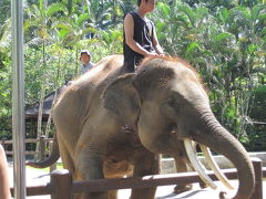 ちびっこ夫婦の大冒険！新婚旅行inバリ島☆3日目 2013.10