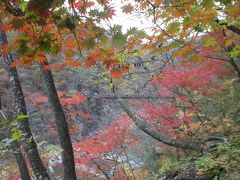 紅葉の白岩半島と龍王峡ハイキング