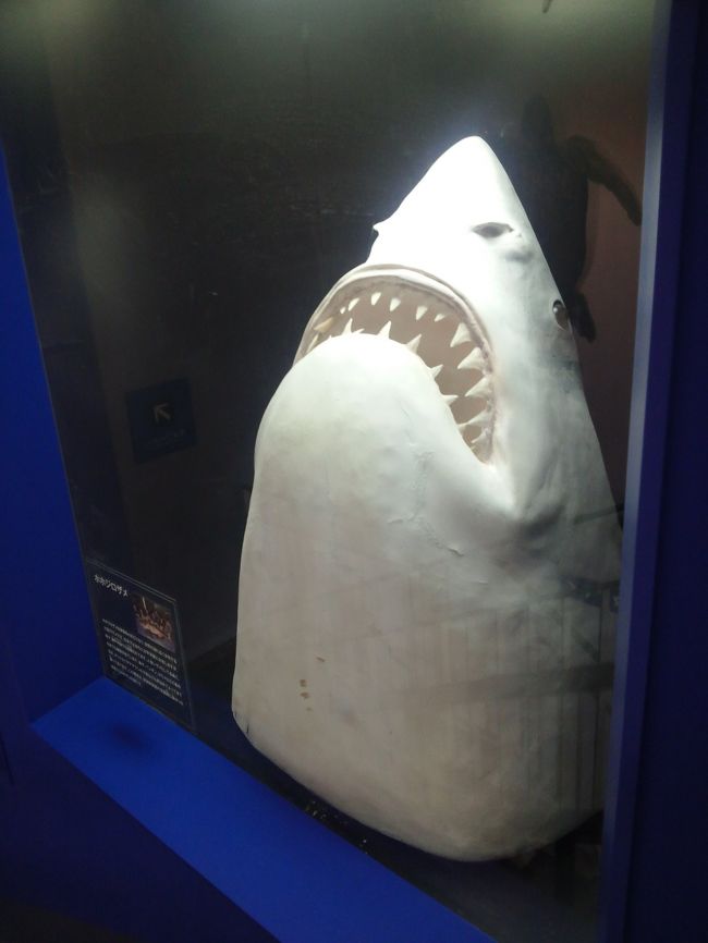 あまりに斬新すぎる工夫の展示で新鮮な驚きの水族館 B級ローカル水族館 姫路市立水族館 姫路 兵庫県 の旅行記 ブログ By ねこにゃんさん フォートラベル あまりに斬新すぎる工夫の展示で新鮮な驚きの水族館 B級ローカル水族館 姫路市立水族館 姫路 兵庫県 の旅行記 ブログ By ねこにゃんさん フォートラベル