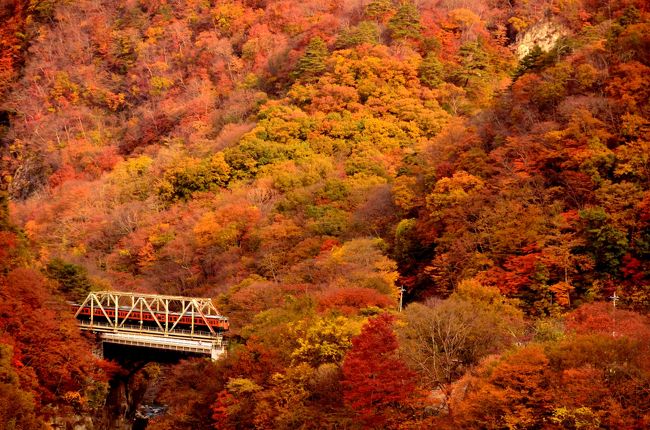 吾妻渓谷と川原湯温泉周辺に広がる紅葉と吾妻線の風景を記録として残そうと、再度この地に訪れてみました。