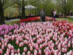 オランダのたび＾＾