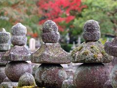 京都の秋　2013 　紅葉を探して・・・2. 嵐山～念仏寺