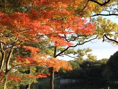 吉見町　八丁湖公園　今年の紅葉狩りは、ちょ～近場で我慢！？