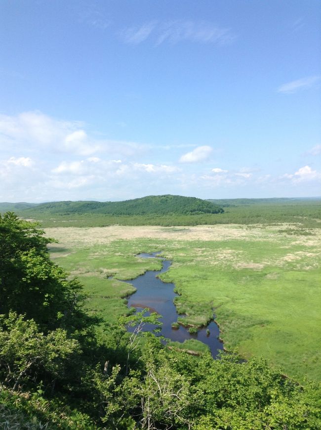 ずっと訪れてみたかった道東。<br /><br />鮮やかな緑と森の声に癒された釧路湿原。<br />最高の素材を堪能できた炉端焼き。<br /><br />はじめての釧路は心もおなかも大満足の旅になりました。<br />