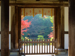 ２０１３　奈良旅ー６　素晴らしき紅葉の園成寺さん　中