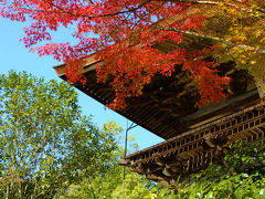 ２０１３　奈良旅ー７　素晴らしき紅葉の園成寺さん　下