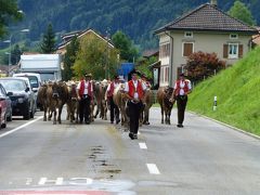 スイス・アッペンツェル地方の牛の行進！【スイス情報.com】