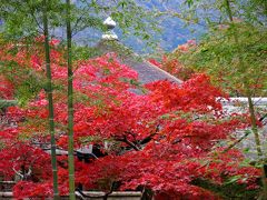 秋色の箱根路と箱根美術館・・・