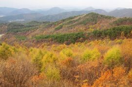 2011秋、韓国旅行記24(9/35)：大邱、八公山自然公園、桐華寺、ロープウェイ、山の黄葉と褐葉