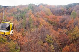 2011秋、韓国旅行記24(10/35)：大邱、八公山自然公園、山の黄葉と褐葉、麓で松茸鍋の昼食