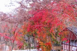 2011秋、韓国旅行記24(13/35)：大邱、伽耶山海印寺、学士台、独聖閣、大毘蘆殿