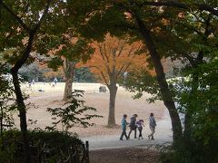秋の国営武蔵丘陵森林公園を訪問する①森林公園駅～ぽんぽこマウンテン迄
