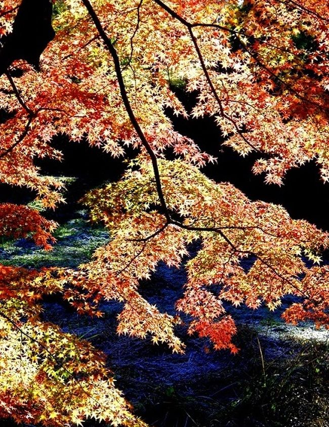 晩秋のみちのく須賀川紅葉めぐり 須賀川 福島県 の旅行記 ブログ By J Ryuさん フォートラベル