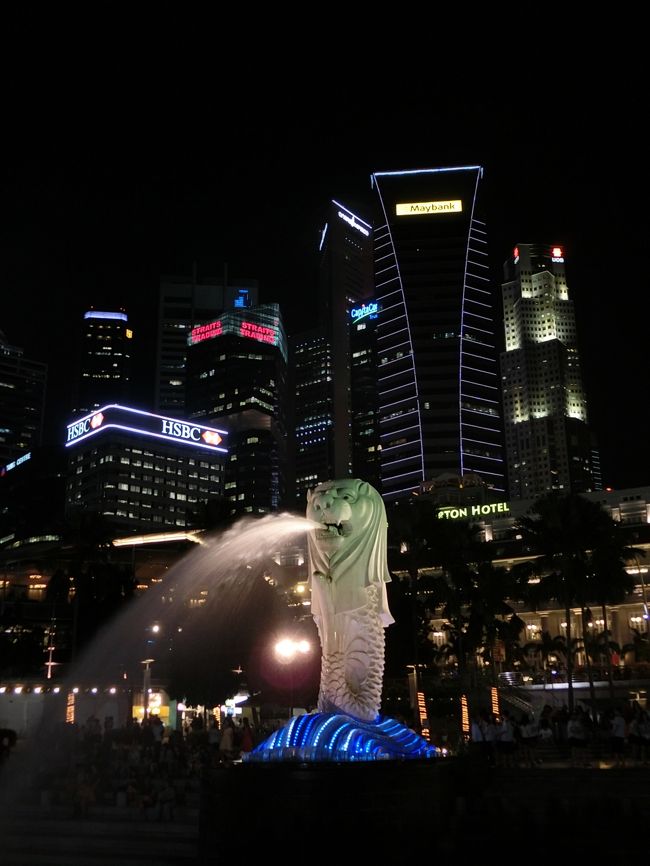 小さな都市国家とはいえ見どころがたくさんあるシンガポール。<br />3日弱では時間が足りなかったです！