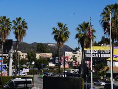 冬のカリフォルニアの風♪５ロス市内半日観光！？