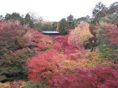 2011年秋　紅葉の季節に行く関西旅行Part３（京都・『東福寺』、『知恩院』、『圓徳院』）