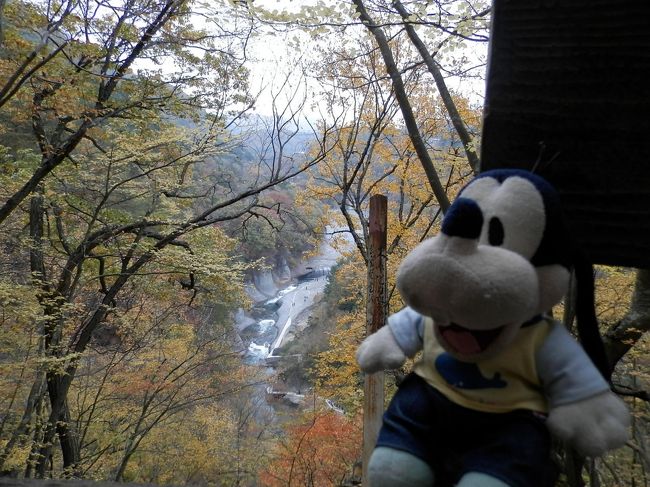 グーちゃんだよ。<br />吹割の滝には遊歩道があって一周歩けるの。<br />約２キロのコースなの。<br />そしてお山の上から見える<br />吹割の滝は世界遺産もんなの！<br />?(ﾟ∇ﾟ|||)はぁうっ！