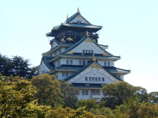 通称「太閤さんのお城」とも呼ばれているが、1959年(昭和34年)の大阪城総合学術調査において、城跡に現存する櫓や石垣などは徳川氏、徳川幕府によるものであることがわかっている。<br /><br />大坂城は、上町台地の北端に位置する。<br />かつて、この地のすぐ北の台地下には淀川の本流が流れる天然の要害であり、またこの淀川を上ると京都に繋がる交通の要衝でもあった。<br />元々古墳時代の古墳があったと言われ、戦国時代末期から安土桃山時代初期には石山本願寺があったが、1580年(天正8年)に石山合戦で焼失した。<br />その跡に豊臣秀吉によって大坂城が築かれ、豊臣氏の居城および豊臣政権の本拠地となったが、大坂夏の陣で豊臣氏の滅亡とともに焼失した。<br />徳川政権は豊臣氏築造のものに高さ数メートルの盛り土をして縄張を改め再建した。<br />その後、幕府の近畿地方、および西日本支配の拠点となった。<br />姫路城、熊本城と共に日本三名城の一つに数えられている。<br /><br />現在は、昭和初期に復興された天守と幕末期の櫓や門などが現存し、城跡は、国の特別史跡に指定されている。<br /><br />ウィキペディアから、引用させて頂きました。<br />http://ja.wikipedia.org/wiki/%E5%A4%A7%E5%9D%82%E5%9F%8E