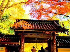 永源寺（東近江）の紅葉。