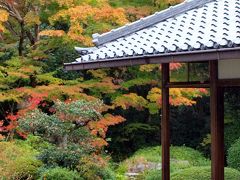 京都の秋　2013 　紅葉を探して・・・3. 常照寺・源光庵～宝ケ池