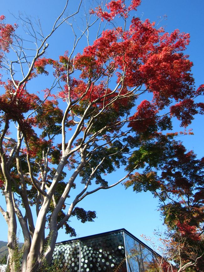 先月の四国に引き続き芸術の秋を求めてプチ旅行。<br />今日は群馬県へ行ってきました。<br />建物が特徴的な富弘美術館へ向かいます。<br /><br />高速道路は平日だというのに車が多く、紅葉シーズンを実感しました。<br /><br />東北道から北関東自動車道に入り、最寄のICで降りたけど、<br />なんとそこから下道で１時間…。思った以上に遠かった。<br /><br />