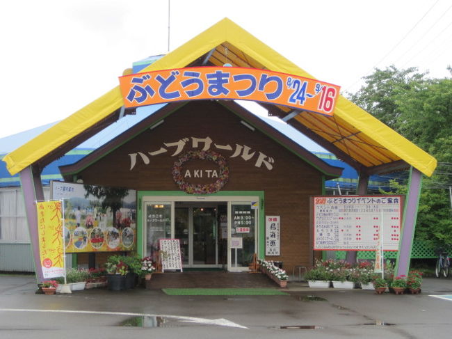 ハーブワールドａｋｉｔａでぶどう狩り 本荘 秋田県 の旅行記 ブログ By めんちゃんさん フォートラベル