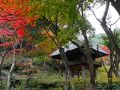 今年の両足寺は、、、