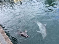 ぼっちたび　秋の南九州さっくり旅一泊二日　一日目　鹿児島市内