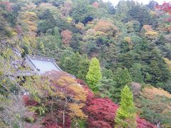 紅葉を楽しむ、神奈川県大山のもみじ