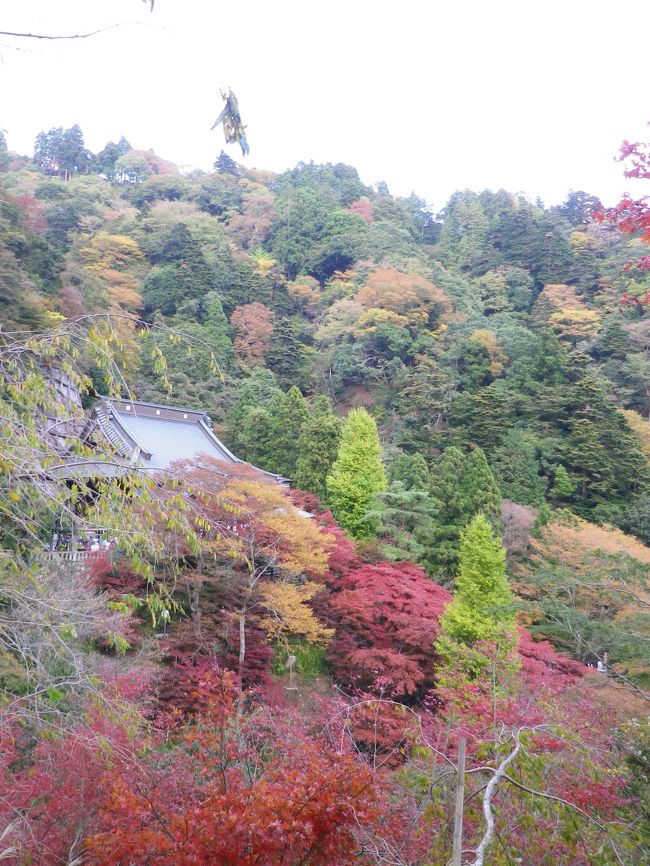 2013年11月16日、そろそろ紅葉が見られるようになって来たらしいので、神奈川県大山を訪ねる事にしました。大山阿夫利神社と大山寺はちょうど見頃。山全体は二十日過ぎぐらいからが見頃の様です。写真は大山寺を見下ろす展望台（道端ですがアマチュアカメラマンで一杯の場所）からの景色。