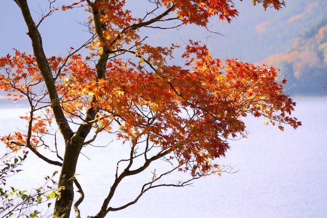 秋も深まり紅葉の季節なので箱根まで紅葉を見に行ってきました<br /><br />箱根はこの時期車だと混雑するのでロープウエー開始前に大涌き谷の駐車場に着くように自宅を出発<br />高速は若干混んでいましたが朝が早いこともあって渋滞はほとんどありませんでした<br /><br />海賊船・ロープウエー1日切符・・・大人2850円を買いロープウエーの始発で出発です！