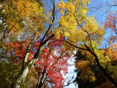 ２０１３年１１月１６日　箱根仙石原の長安寺　紅葉は見ごろを迎えています